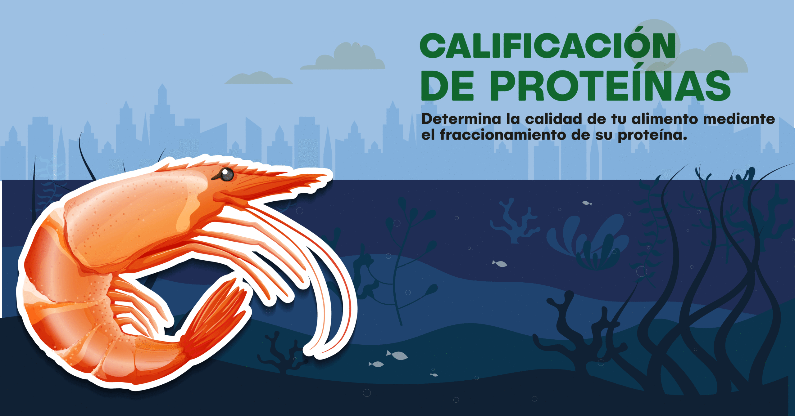 Calificación de proteínas