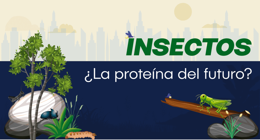 ¿Son los insectos la proteína del futuro?