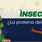 ¿Son los insectos la proteína del futuro?